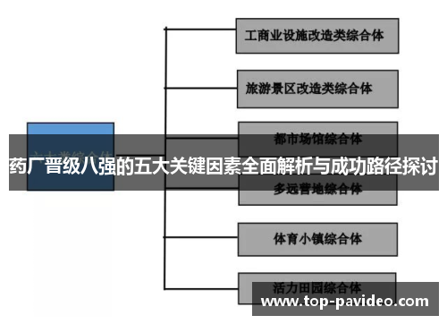 药厂晋级八强的五大关键因素全面解析与成功路径探讨