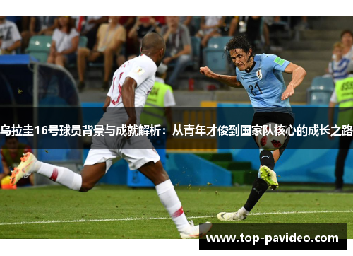 乌拉圭16号球员背景与成就解析：从青年才俊到国家队核心的成长之路
