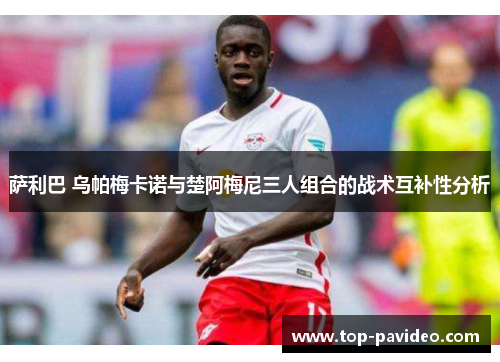 萨利巴 乌帕梅卡诺与楚阿梅尼三人组合的战术互补性分析 萨利巴 乌帕梅卡诺与楚阿梅尼三人组合的战术互补性分析