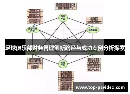 足球俱乐部财务管理创新路径与成功案例分析探索
