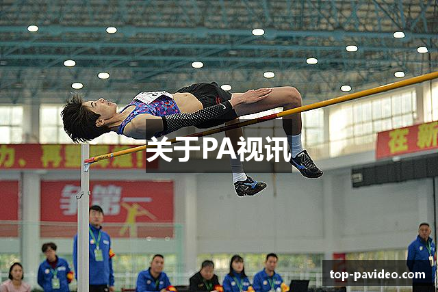 关于PA视讯